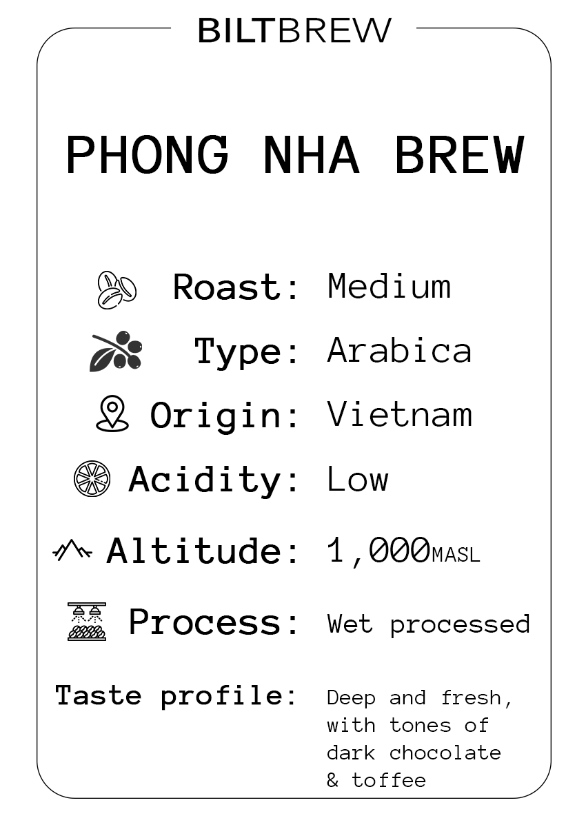 Phong Nha Brew