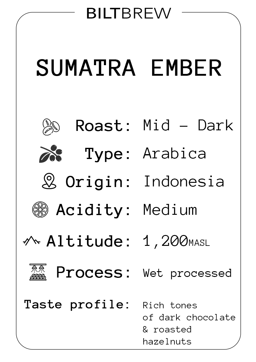 Sumatra Ember